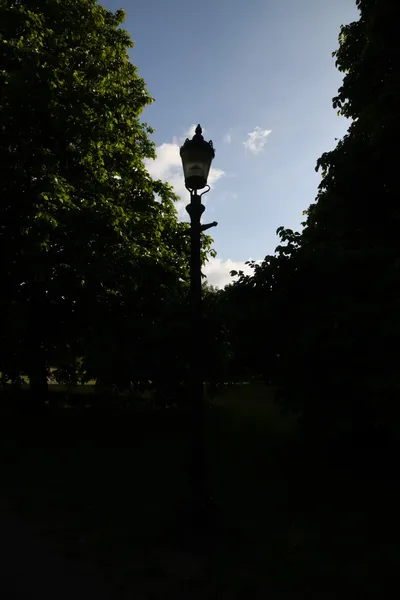 DSC_5934 (Large).JPG